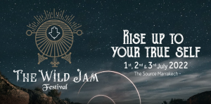 The Wild Jam Festival musique électronique