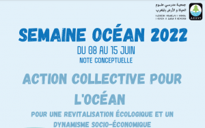 océan
