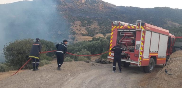 ANEF incendies