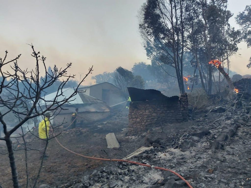 incendie feux de forêt