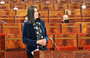 budget 2023 MEF