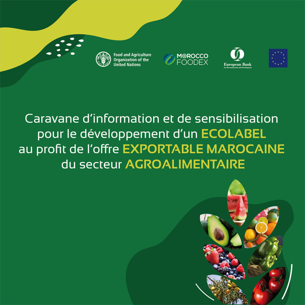 morocco foodex