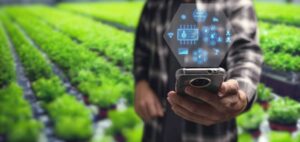 BERD agriculture smart innovation agritech Tech4Farmers agridigital maroc