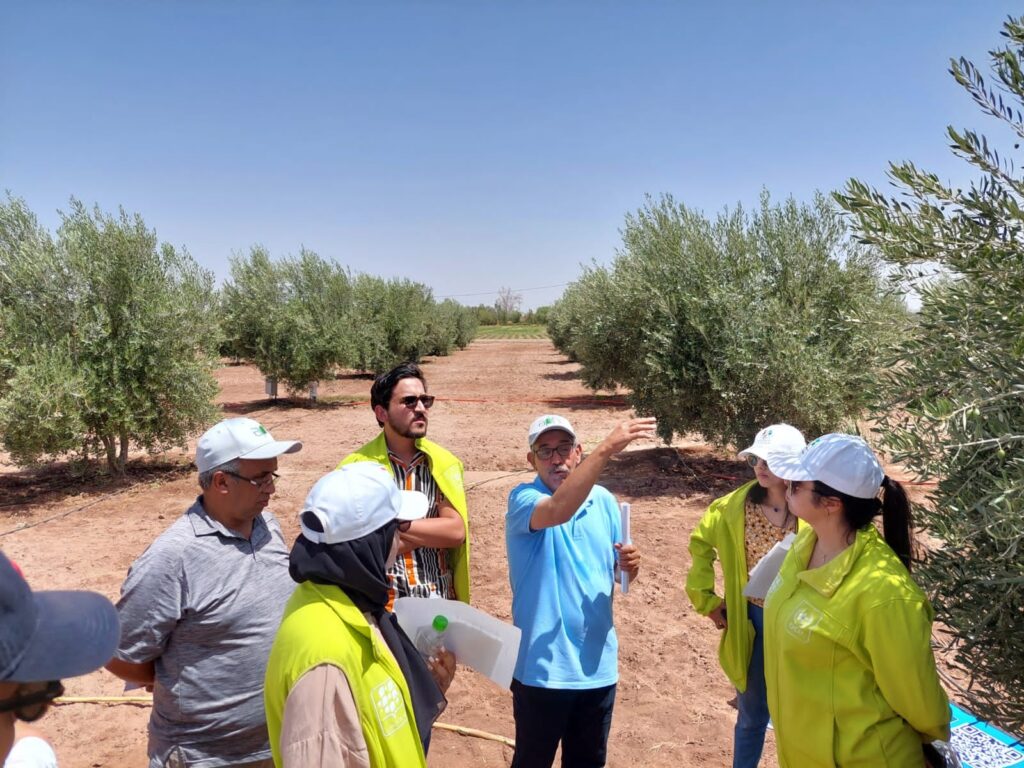Formation ingenieurs kelaa Al Moutmir um6p ocp olivier