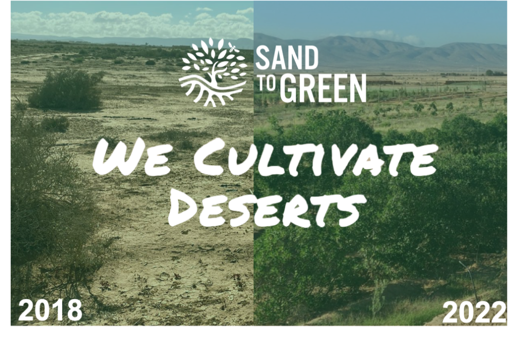sand to green