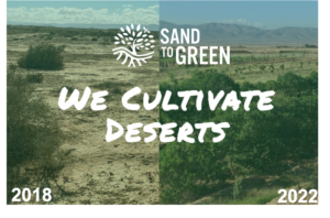 sand to green