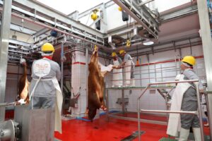 abattoirs