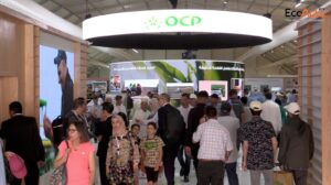 Al moutmir ocp um6p