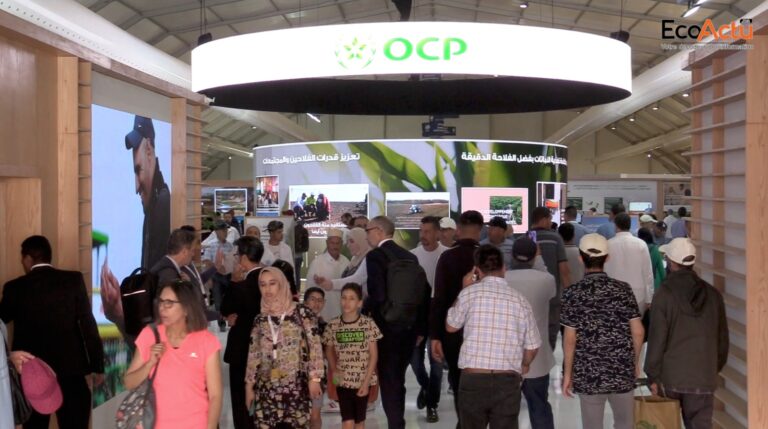 Al moutmir ocp um6p
