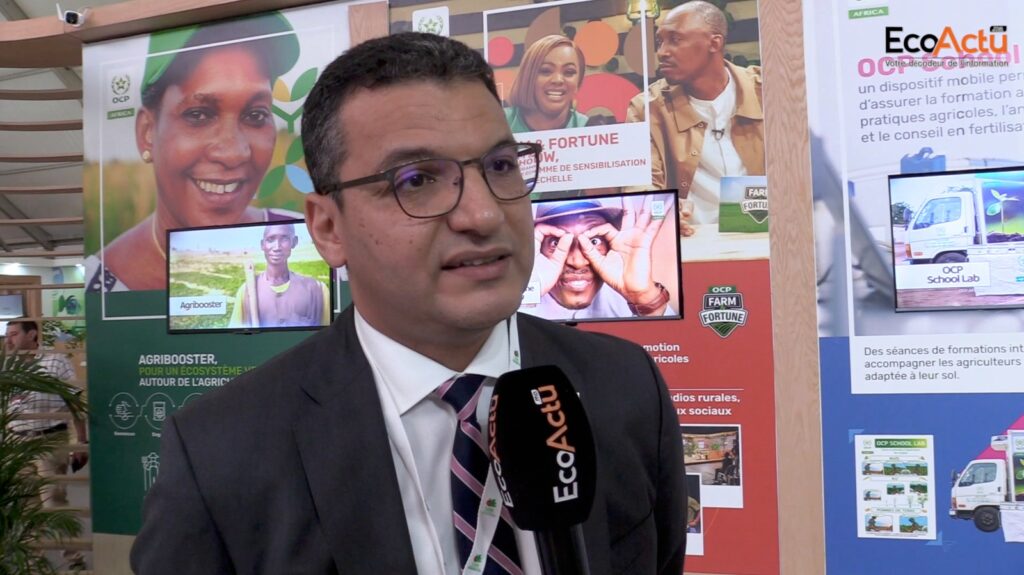Mehdi Filali OCP Africa