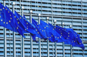 bruxelles croissance