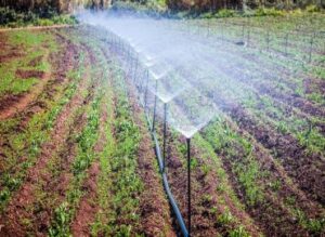pluviométrie irrigation politiques publiques agricoles