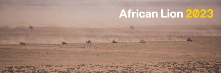 african lion 2023