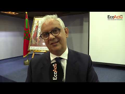 Complexe portuaire de Casablanca : la restructuration et le développement du projet renforcera le positionnement international du Maroc (N. Baraka) 1 nizar baraka
