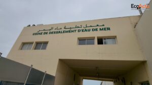ocp dessalement 