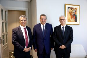 majorité gouvernementale