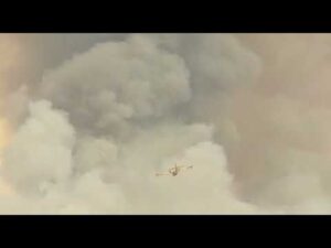 dispositif feux forêt