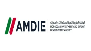 Amdie export