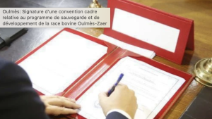 Oulmès