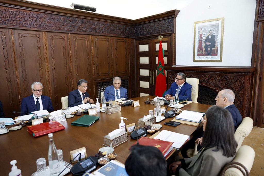 comité national du développement numérique