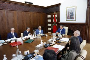 comité national du développement numérique