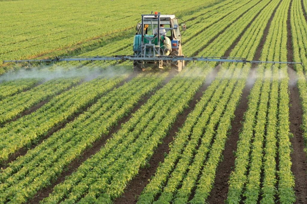 Agriculture : quand les intrants posent problèmes, les outputs sont désastreux 1 projet agriculture agricole intrants semences