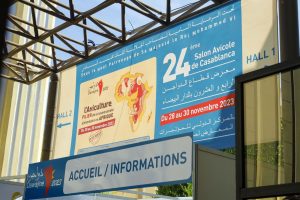 dawajine 2023 (7)