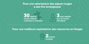Fondation Phosboucraâ 