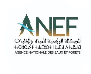 anef