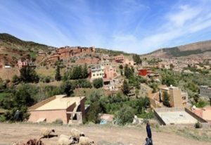 haouz