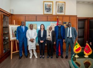 gazoduc Nigéria maroc onhym PETROSEN