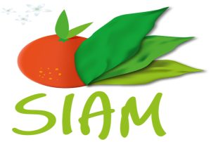 SIAM