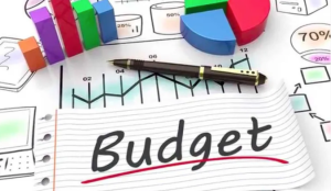 budget citoyen