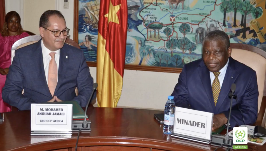 ocp africa cameroun