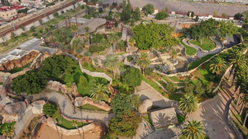 zoo