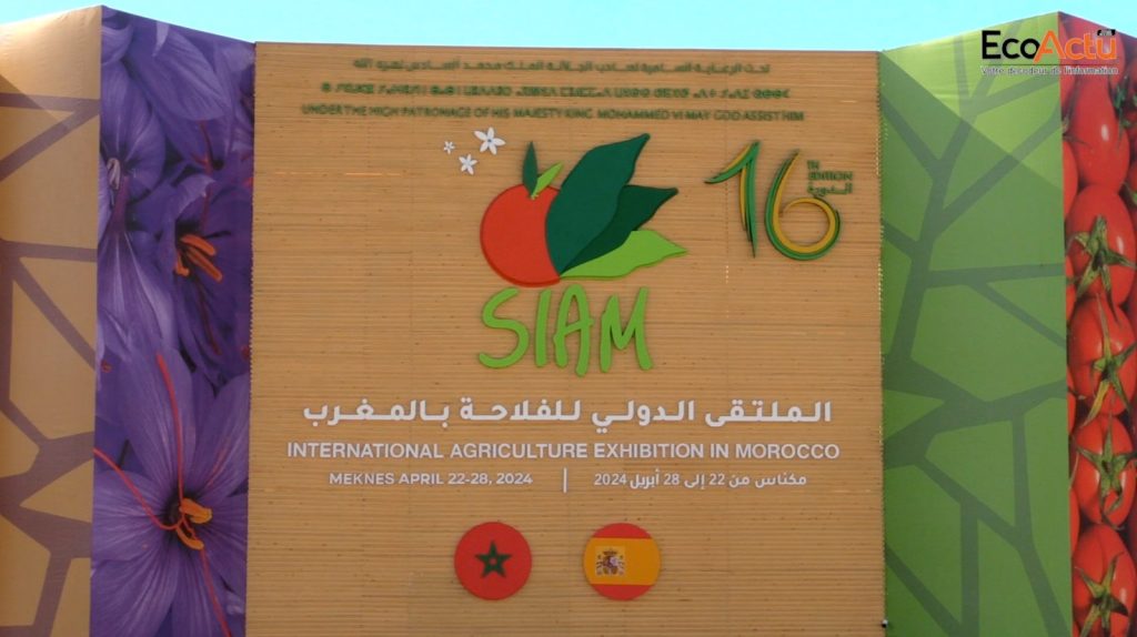 siam