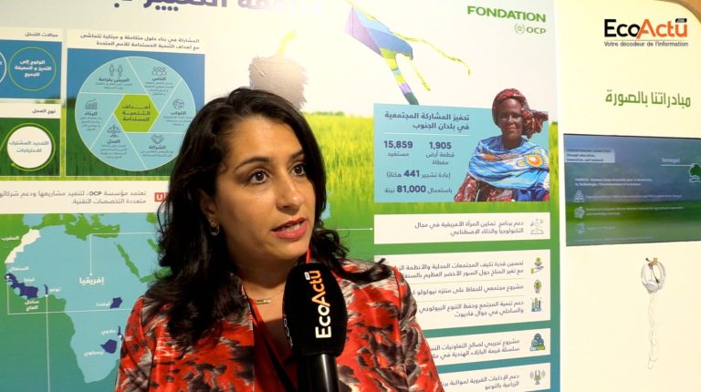 fondation ocp