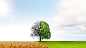 climat