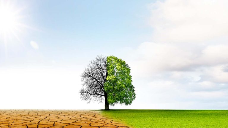 climat