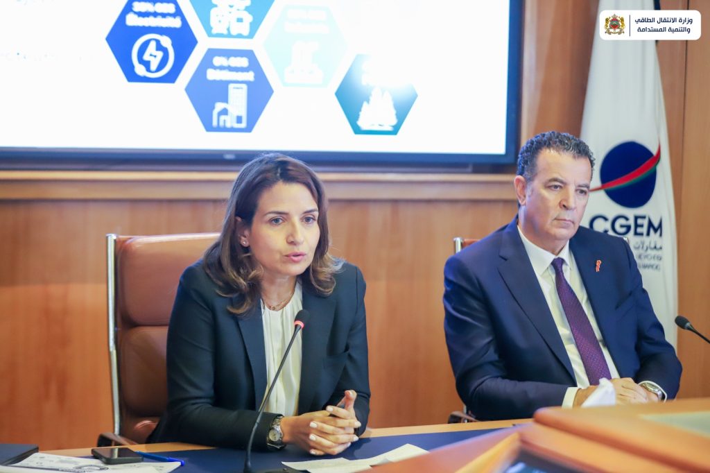 neutralité carbone cgem stratégie bas carbone