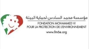 fondation