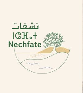 nechfate changement climatique température