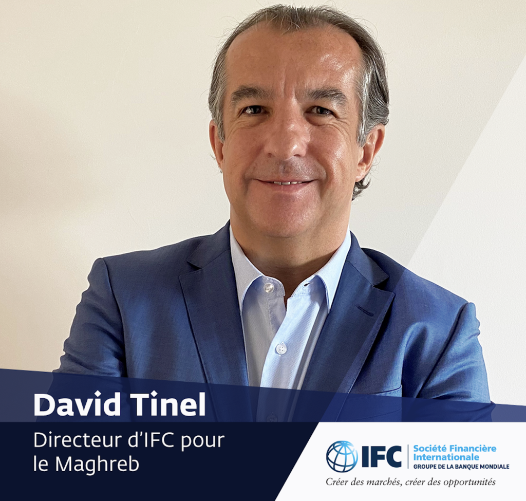 SFI David