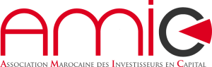 amic capital investissement
