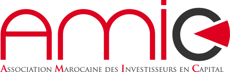 amic capital investissement