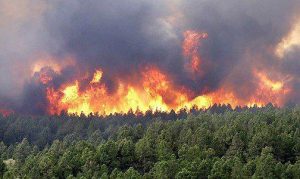 incendies