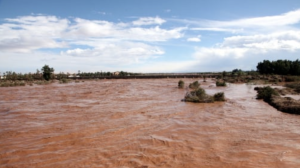 autocar tata
