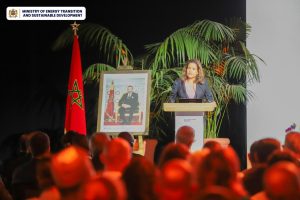 investissements durables transition énergétique leila benali