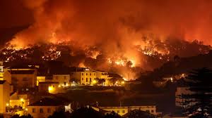 portugal ince,dies de fôret