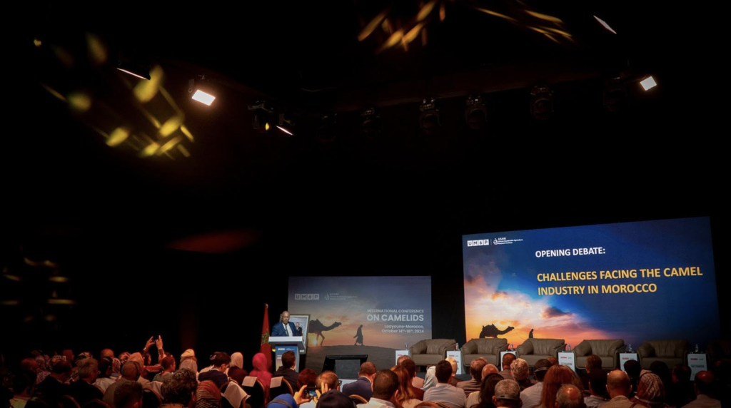 Conférence Internationale sur le Camelin um6p Laayoune